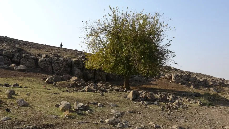 مشاهد من خريف مقاطعة الجزيرة
