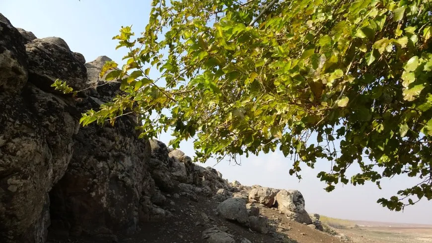 مشاهد من خريف مقاطعة الجزيرة