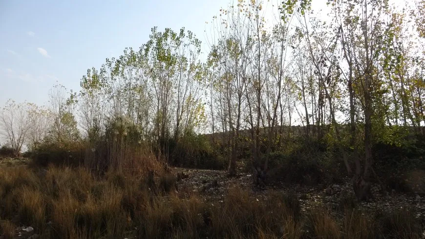 مشاهد من خريف مقاطعة الجزيرة