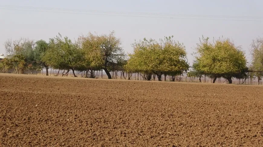 مشاهد من خريف مقاطعة الجزيرة