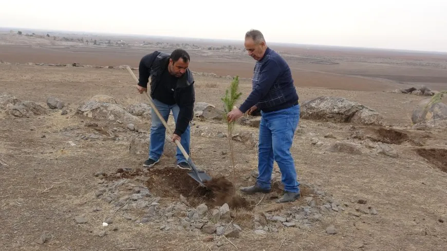 هيئة البيئة بمقاطعة الجزيرة تزرع 500 غرسة في محميتي عابرة ومعشوق