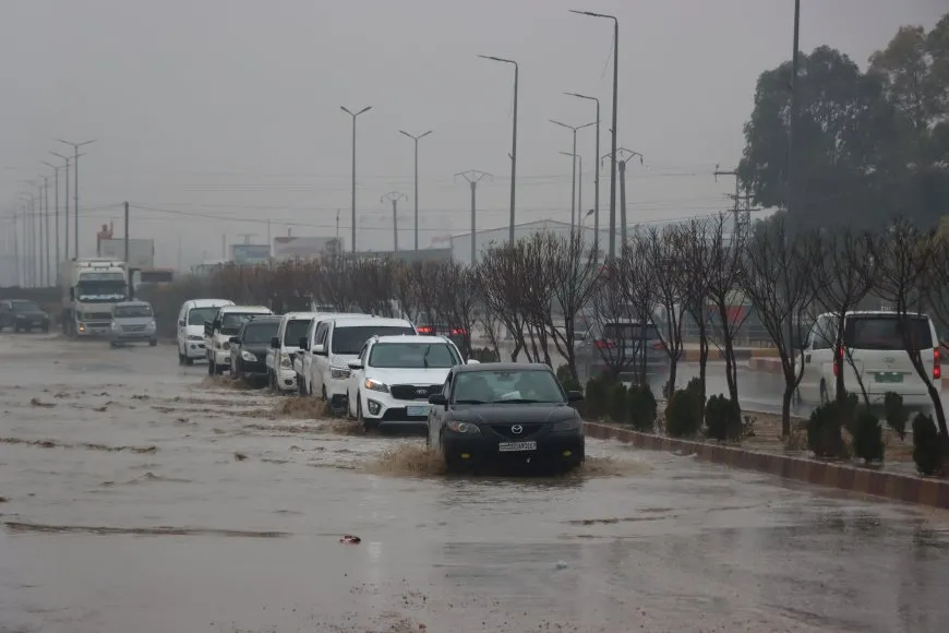 أمطار غزيرة تعيد الحياة إلى الجزيرة بعد طول انتظار