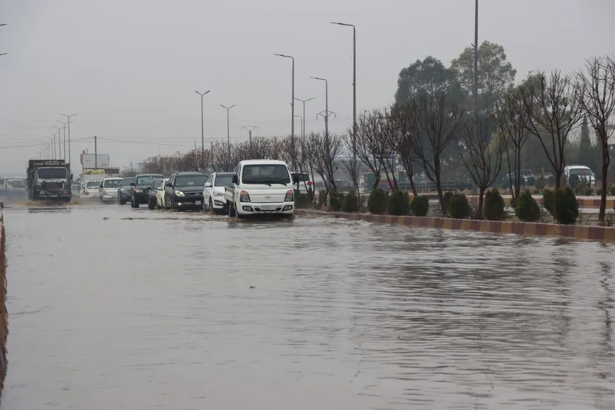 أمطار غزيرة تعيد الحياة إلى الجزيرة بعد طول انتظار