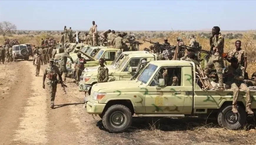 "الدعم السريع" تسيطر على أكبر حقل نفطي في السودان ‏