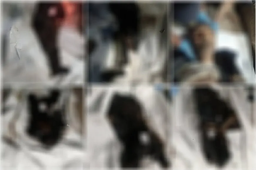 الكشف عن 3 مقابر جماعية في السويداء