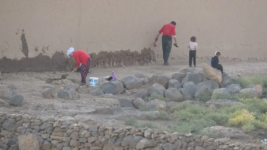 مشاهد من الحياة الريفية في مقاطعة الجزيرة