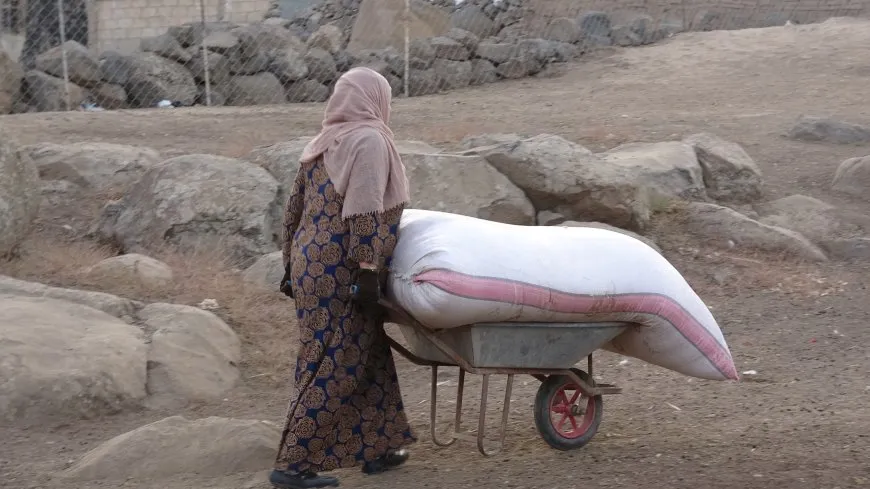 مشاهد من الحياة الريفية في مقاطعة الجزيرة