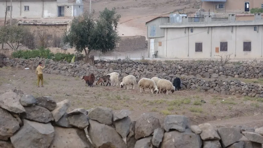 مشاهد من الحياة الريفية في مقاطعة الجزيرة