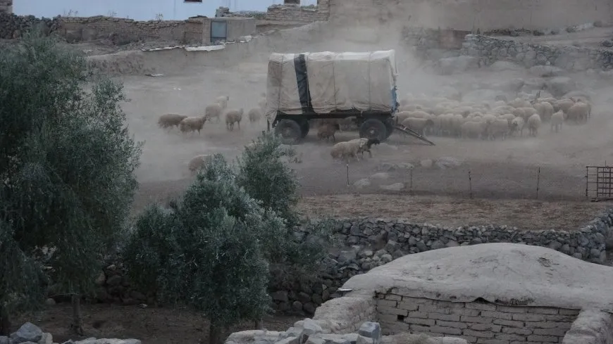 مشاهد من الحياة الريفية في مقاطعة الجزيرة