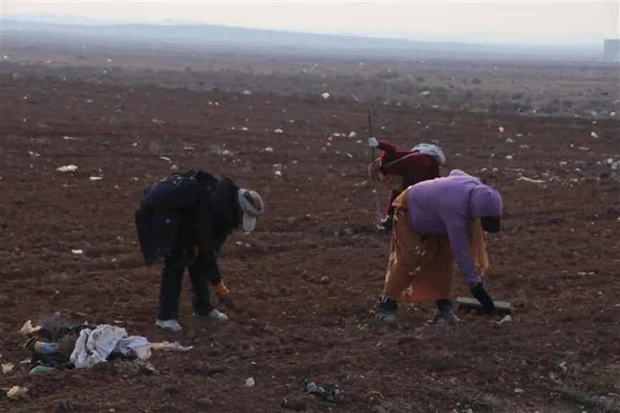 بلدية الشعب في الحسكة تقوم بأعمال نظافة في بلدة صفيا 