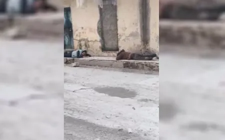 إصابة مدنيّين بقصف مرتزقة الحكومة المؤقتة في محيط بني زيد 