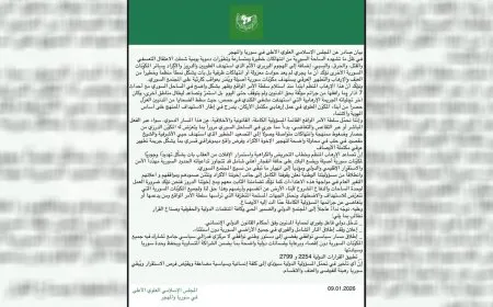 المجلس الإسلامي العلوي يدعو لتدخل دولي عاجل في سوريا