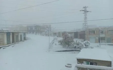 الثلوج تكسو السويداء وريفها بحلّة بيضاء