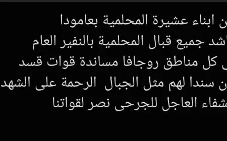 المحلّميون في عامودا يدعون للاستجابة للنفير العام ودعم قسد  