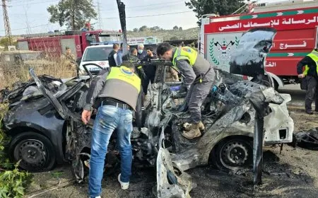 قتيلان باستهداف إسرائيلي في جنوب لبنان