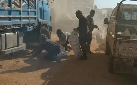 سلب ونهب القمح من صوامع تل علو جنوب جل آغا