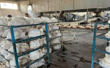 الحسكة في النفير العام.. الأفران تعمل على مدار الساعة لتأمين احتياجات الأهالي