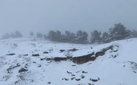 تساقط الثلوج في مقاطعة الجزيرة