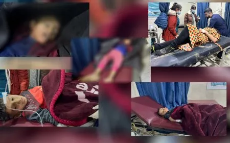 مقتل طفلة وإصابة ثلاثة أطفال آخرين في قصف المرتزقة لقرية في ريف كوباني