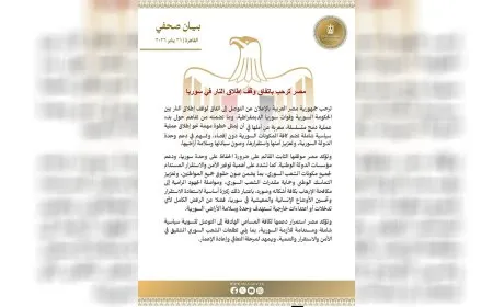مصر ترحب باتفاق وقف إطلاق النار في سوريا