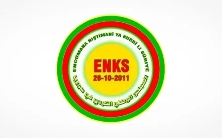 ماذا سيفعل المجلس الوطني الكردي في دمشق؟ 