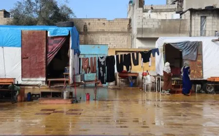 "نريد العودة إلى كري سبي"