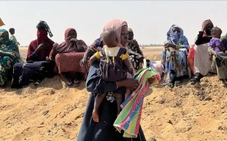 الأمم المتحدة: نزوح أكثر من 115 ألف شخص من كردفان خلال ثلاثة أشهر