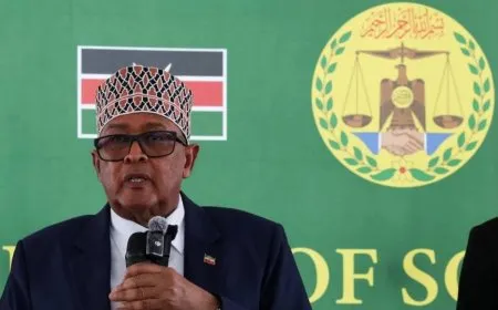 "أرض الصومال" يعرض على أميركا نفاذاً إلى معادنه واستضافة قواعد عسكرية
