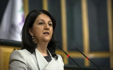 بروين بولدان: التقرير لا يحل القضية الكردية لكنه مرحلة جديدة