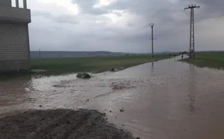 الهطولات المطرية الغزيرة في سوريا تسهم في رفع مناسيب المياه الجوفية وتعويض السدود
