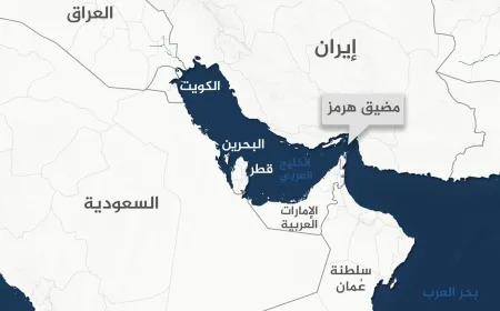 نحو 40 دولة تدعو إلى إعادة فتح مضيق هرمز بشكل فوري