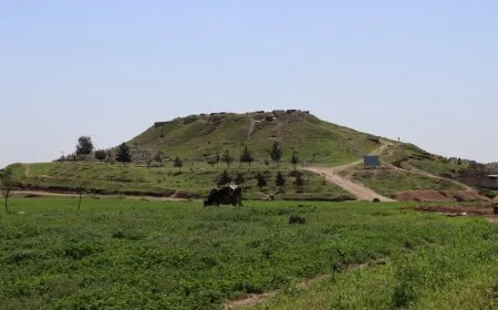 مشاهد من ربيع كوباني
