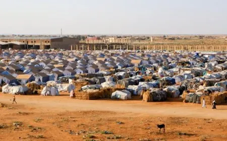 المجلس الدنماركي للاجئين: توقّع نزوح أكثر من 4 ملايين بحلول العام المقبل