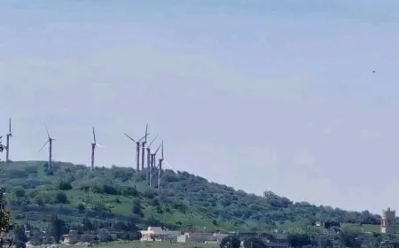 الجيش الإسرائيلي يدمر جامعاً ومبانٍ في القنيطرة