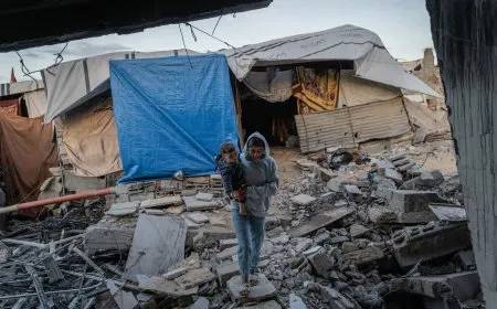 الأمم المتحدة: 17 ألف إصابة مرتبطة بالقوارض في قطاع غزة