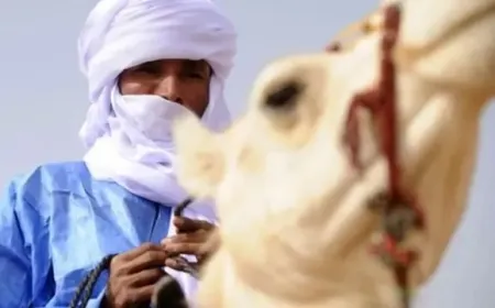 سيطرة "تحرير أزواد" على كيدال تُشعل الصراع مجدداً في شمال مالي