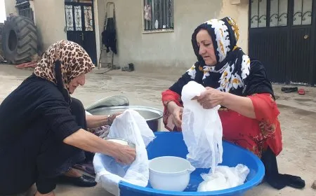 من تقاليد الجدات إلى مؤونة الشتاء.. الجبن والسيرك واللورك