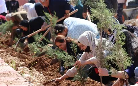 حزب الخضر يزرع 150 شجرة في قامشلو ضمن مبادرات بيئية