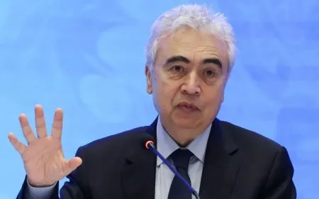 رئيس الوكالة الدولية للطاقة: العالم يواجه تحدياً كبيراً في مجال الطاقة والاقتصاد