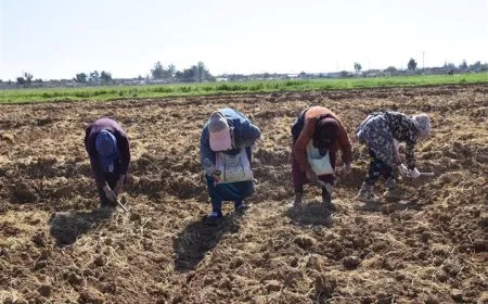 النساء العاملات يطالبن بالإنصاف والحقوق في عيد العمال العالمي