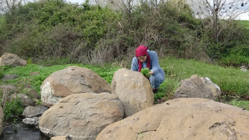 ربيع منطقة آليان بعد الهطولات المطرية 