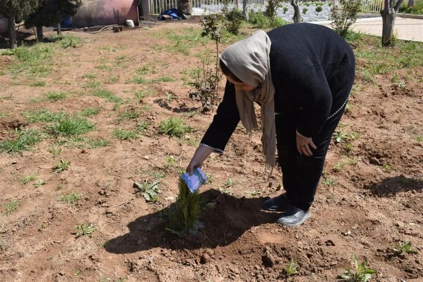 ضمن فعاليات 4 نيسان زراعة الأشجار في مدينتي الدرباسية وجل آغا