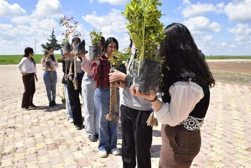ضمن فعاليات 4 نيسان زراعة الأشجار في مدينتي الدرباسية وجل آغا