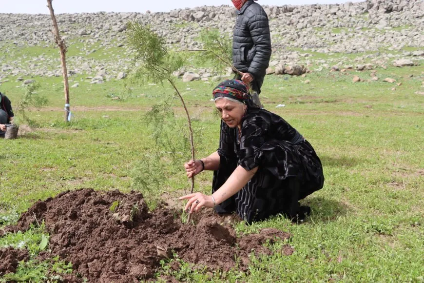 غرس أشجار ومعرض كتاب بمناسبة ميلاد القائد عبد الله أوجلان