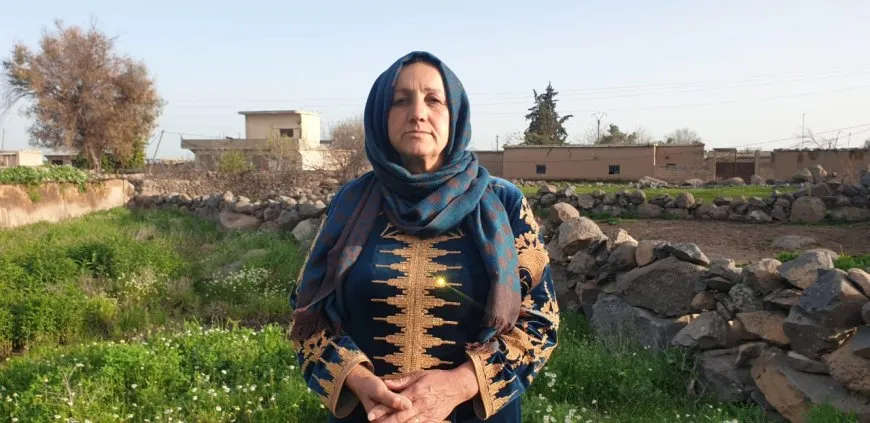 انتعاش المراعي في منطقة آليان بعد هطول الأمطار 