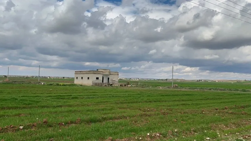 مشاهد من ربيع كوباني