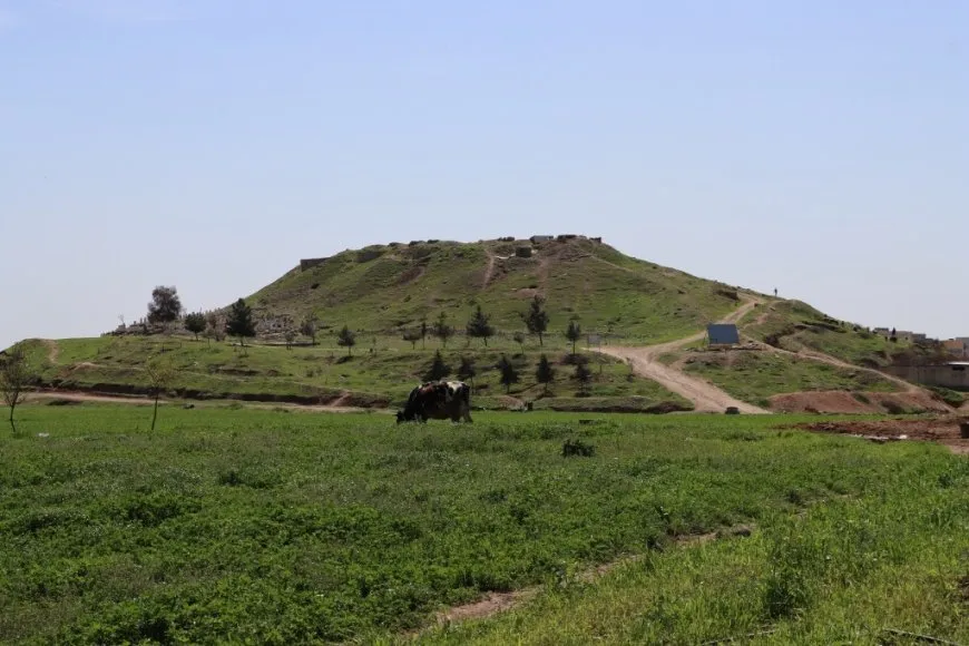 مشاهد من ربيع كوباني