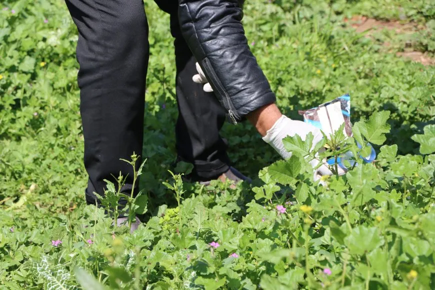 أعمال تنظيف في حدائق قامشلو للحفاظ على البيئة