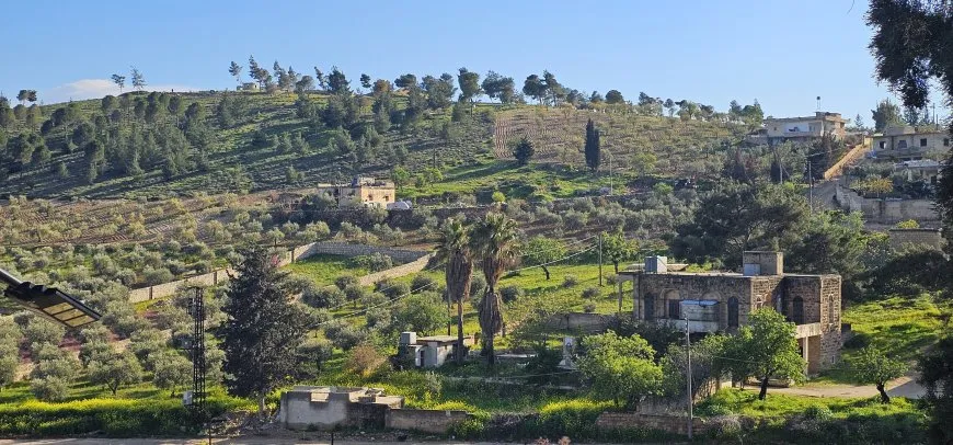 مشاهد من عفرين