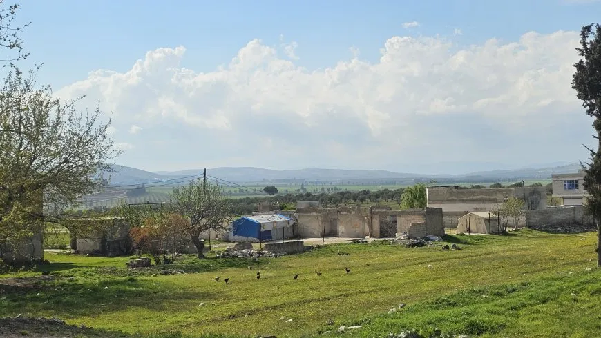 مشاهد من عفرين